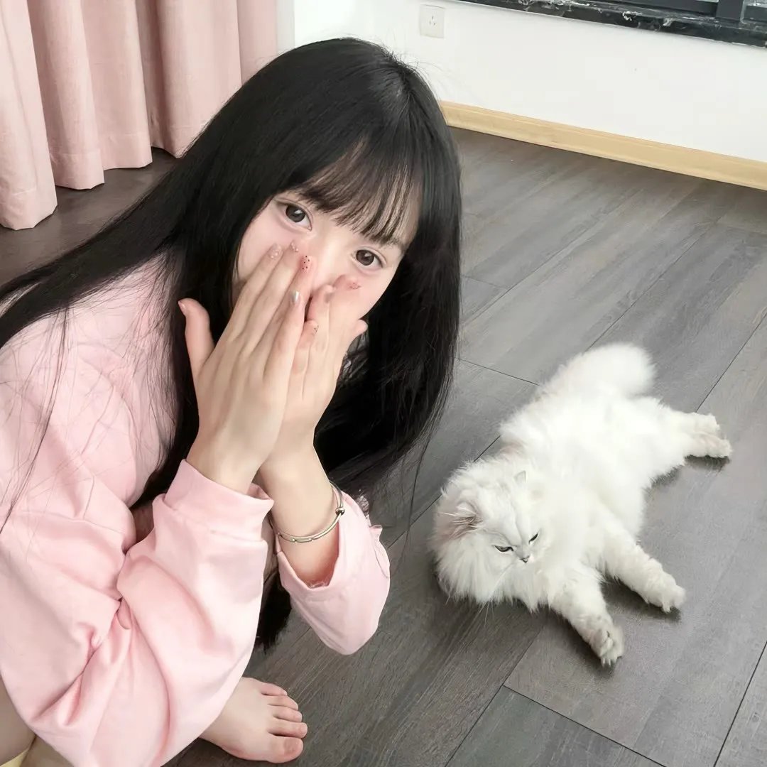 禁宫龙虎斗